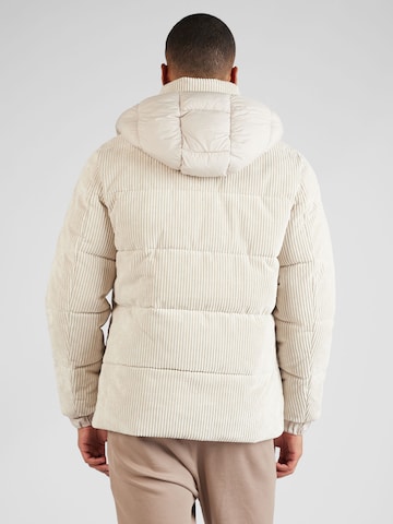 SAVE THE DUCK Winter jacket 'Albus' in Beige