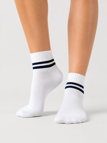 sockenkauf24 Athletic Socks in White: front