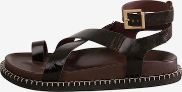 Next Strap sandal in Brown: front