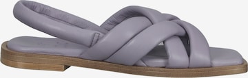 Sandales ILC en violet