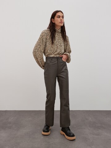 EDITED Regular Pants 'Brady' in Brown