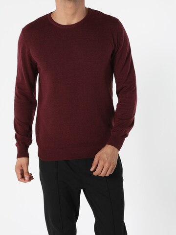Colin's Trui in Lila: voorkant