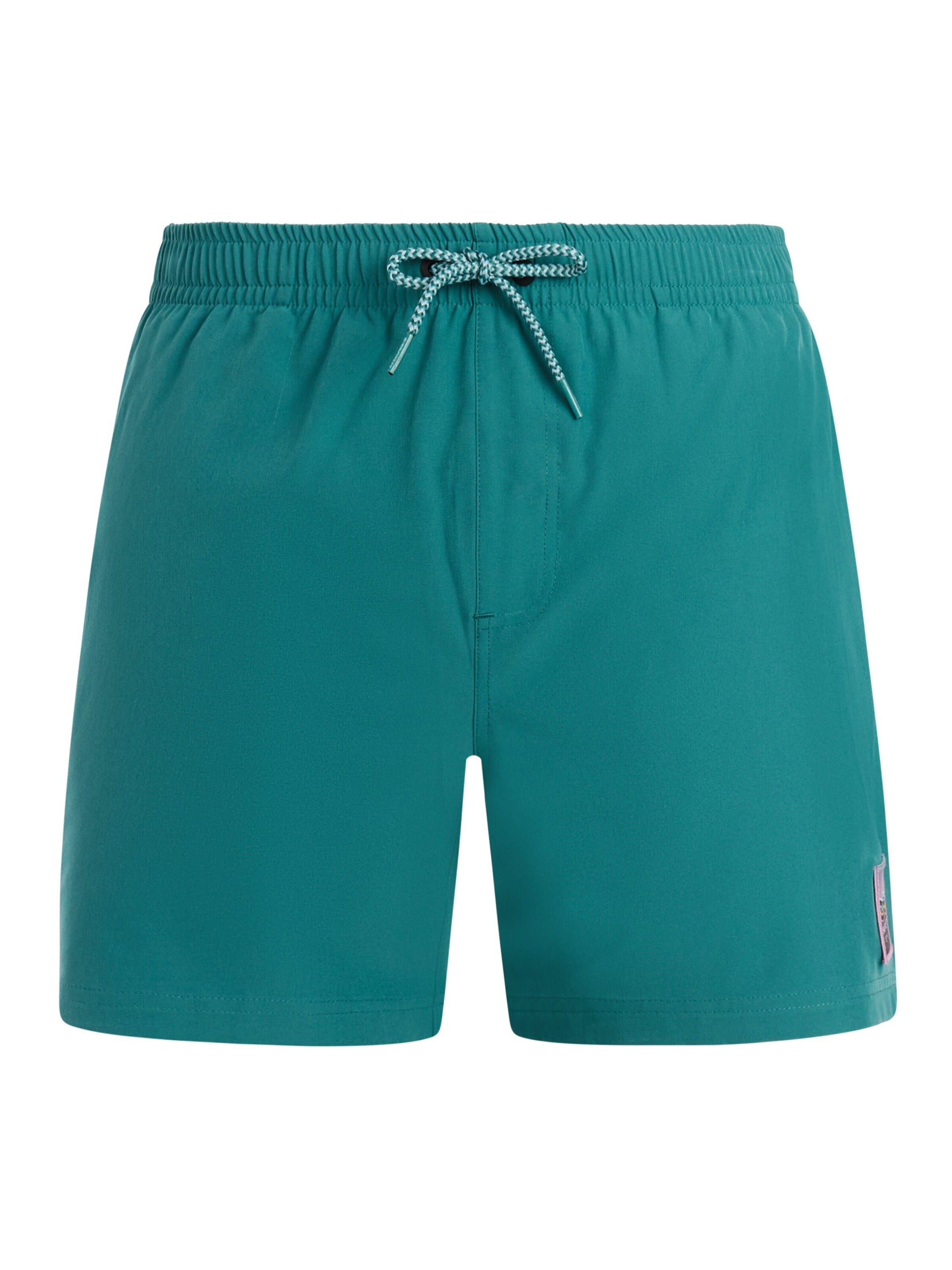 PROTEST Board Shorts 'PRTJayden' in L/Regular in Green, Item view