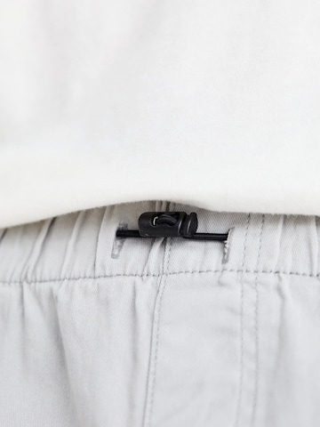 Loosefit Pantaloni cargo ' DPParachut ' di Denim Project in grigio