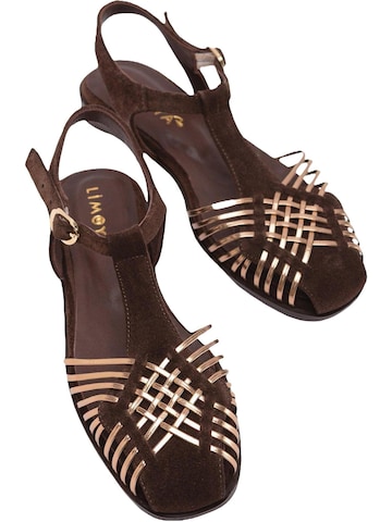 Limoya Strap Sandals 'Kelly' in Brown
