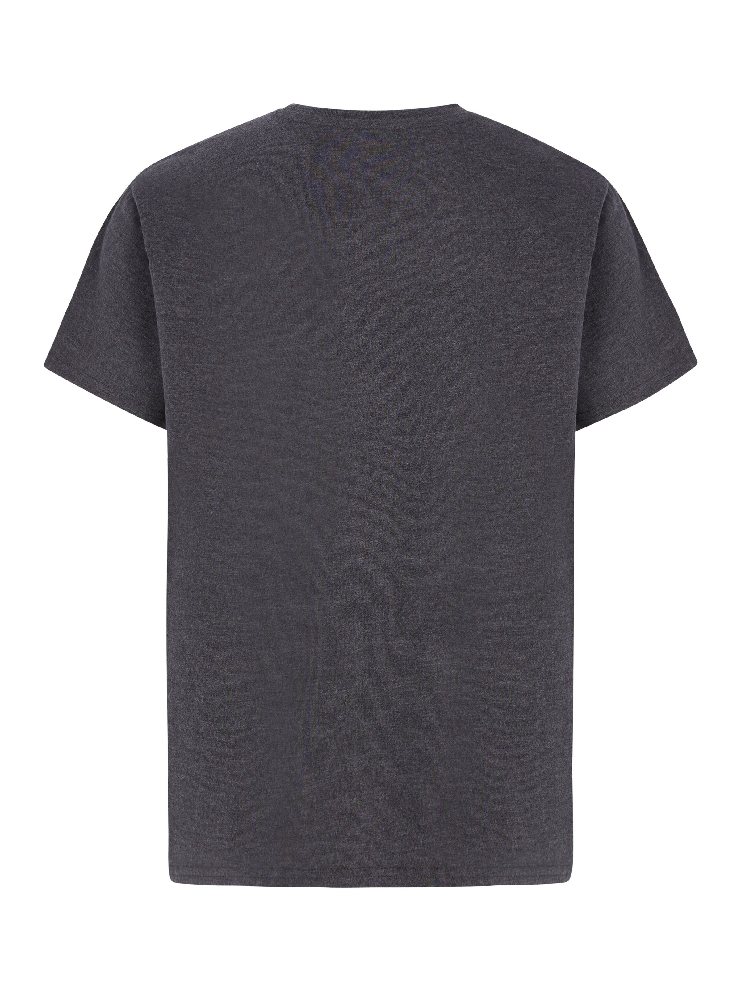 PROTEST Shirt 'PRTFINCE JR'‌‌‌‌‌‌ in Grau