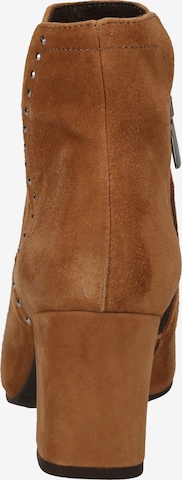 IGI&CO Ankle Boots in Brown