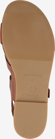Sandalo di COSMOS COMFORT in marrone