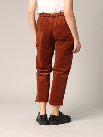 Regular Pantalon 'Wiyana' Deeluxe en marron