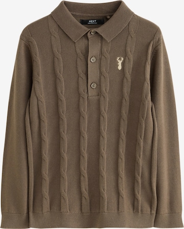 Pullover di Next in marrone: frontale