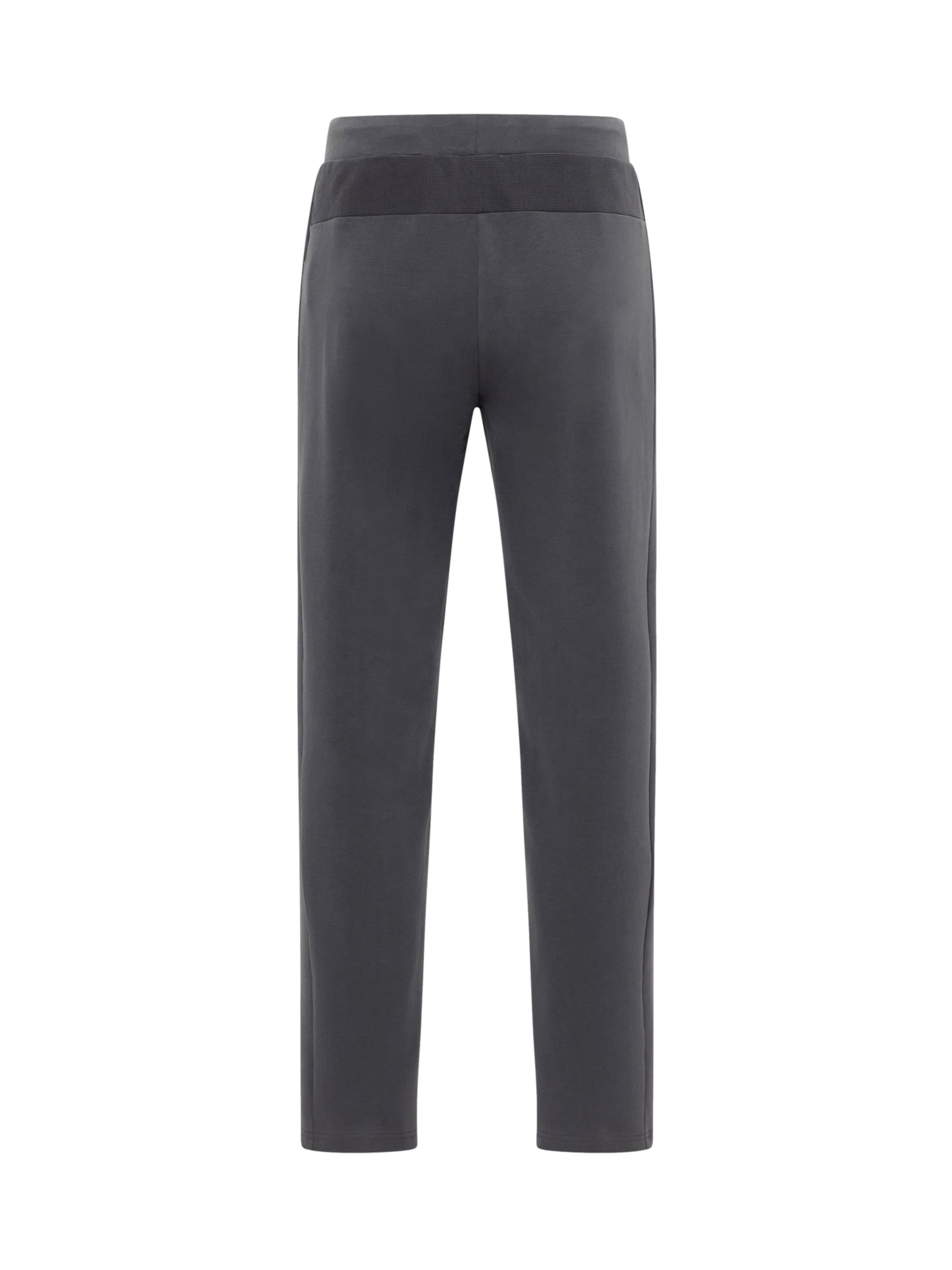 Elbsand Regular Trousers 'Jonte' in Grey