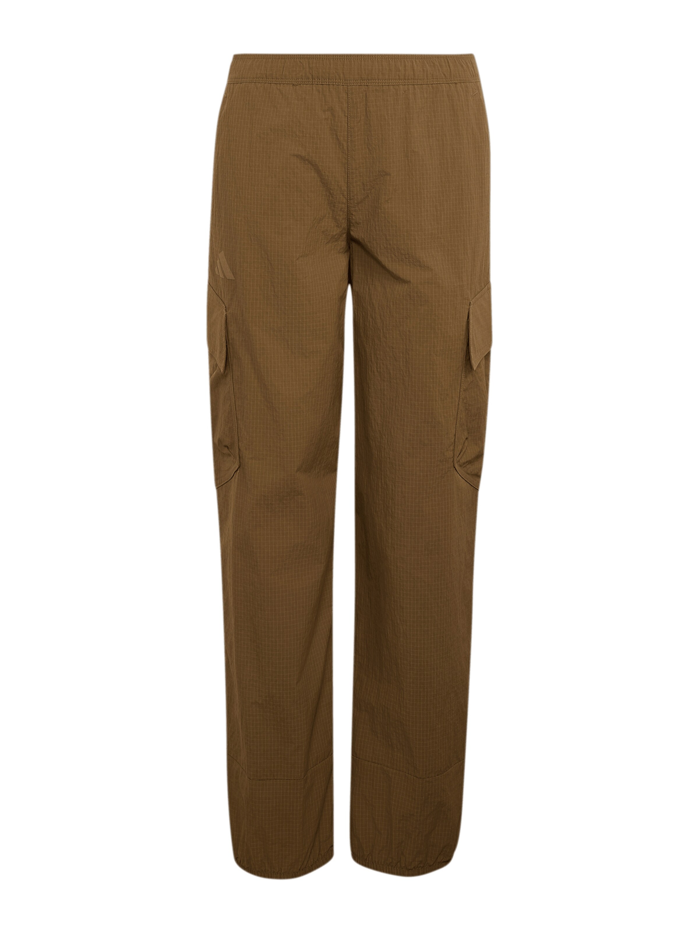 Pantalon d'extérieur 'Xploric' ADIDAS TERREX en marron : devant