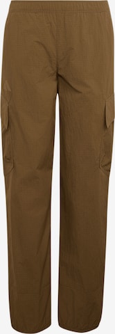 Pantalon d'extérieur 'Xploric' ADIDAS TERREX en marron : devant