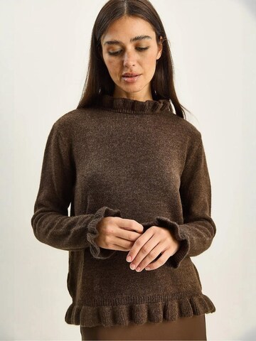 Bianco Lucci - Pullover em castanho: frente