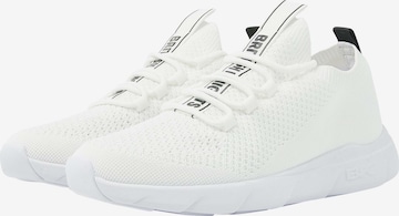 BRITISH KNIGHTS Platform trainers ' FEED ' in White: front