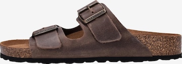 SALAMANDER Pantolette 'Basic' in Braun: Vorderseite