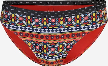 Superdry Bikini Bottoms in Mixed colors: front