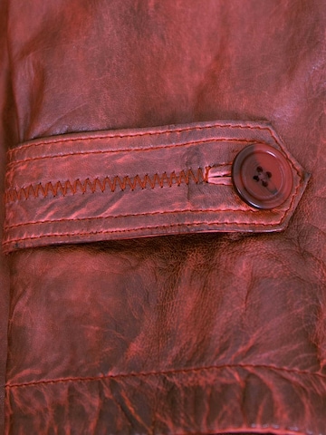 MADDOX - Chaqueta de entretiempo 'Borneo' en rojo