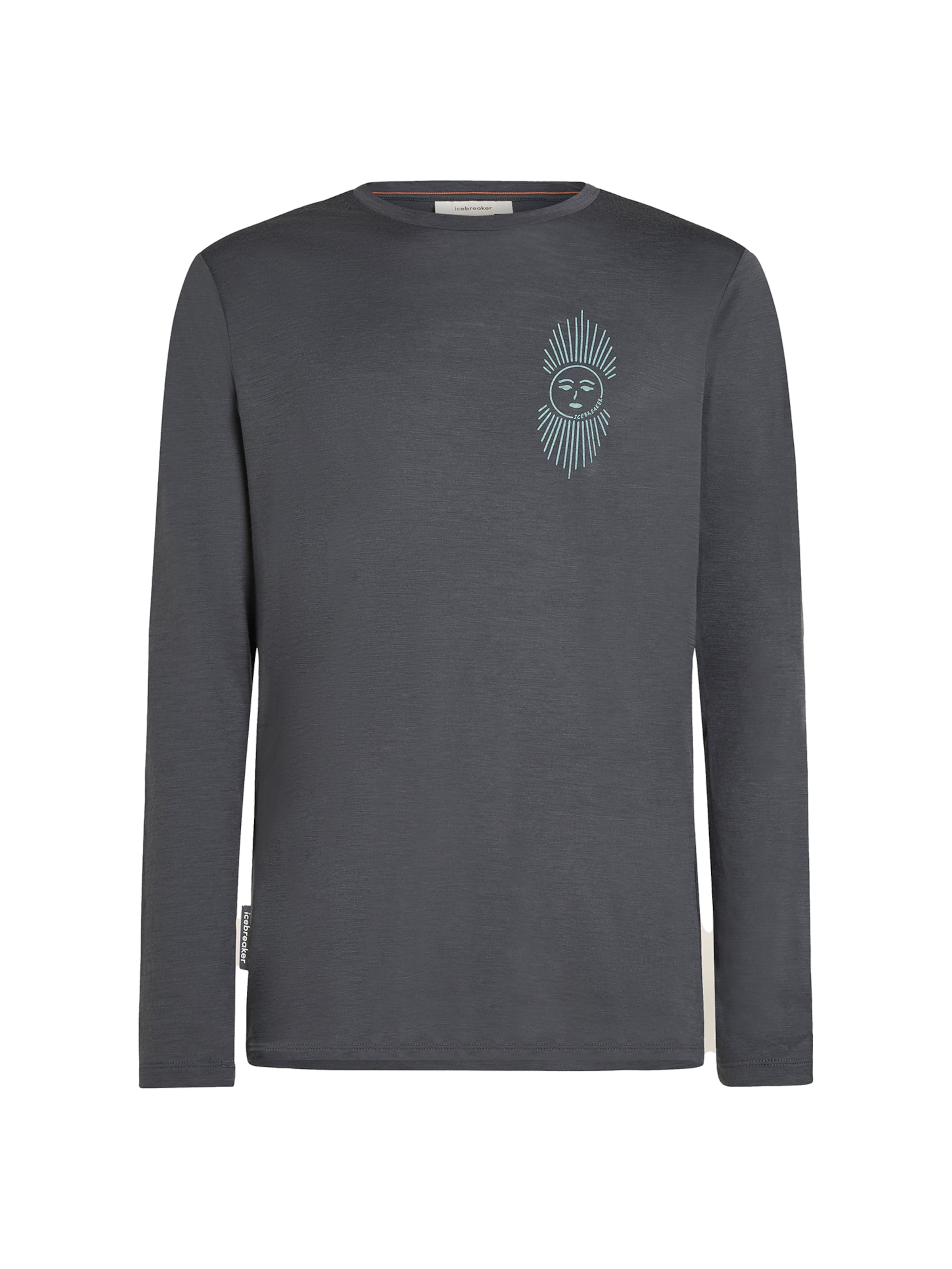 ICEBREAKER Функциональная футболка 'Tech Lite' в Черный: спереди