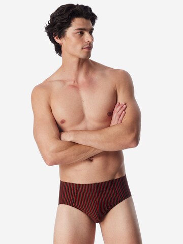 SCHIESSER Slip ' 95/5 Essentials ' in Grijs