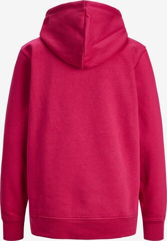 JJXX Sweatshirt 'Abbie' in Pink