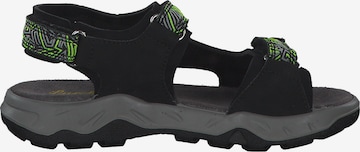 SALAMANDER Sandals 'Odono' in Black