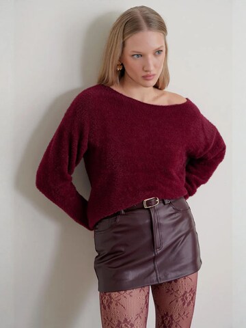 Pullover 'Pullover' di MixRay in rosso