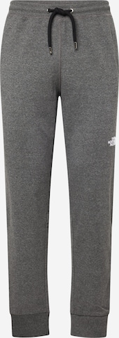 Effilé Pantalon THE NORTH FACE en gris : devant