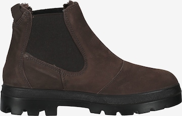 Bama Chelsea Boots in Brown