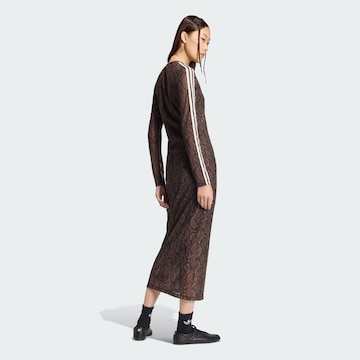 ADIDAS ORIGINALS Φόρεμα σε καφέ