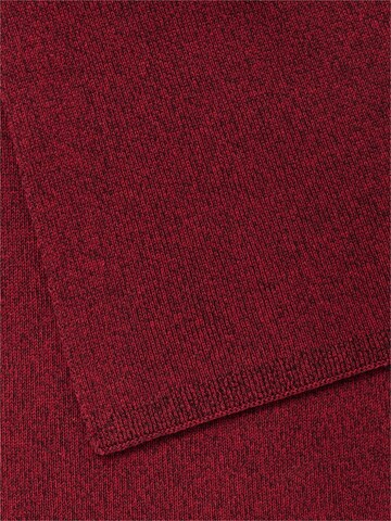 CAMEL ACTIVE Schal in Rot