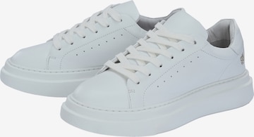 Apple of Eden Sneakers ' SAMIR ' in White