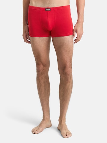 TOM TAILOR Boxershorts in Mischfarben
