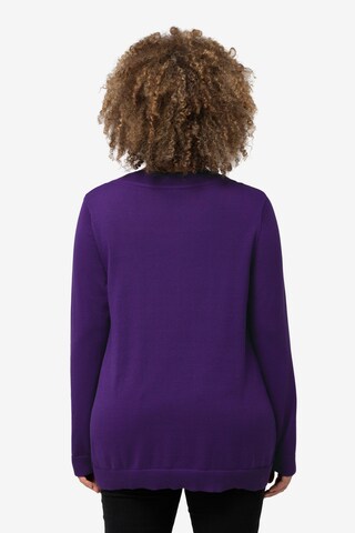 Ulla Popken Sweater in Purple