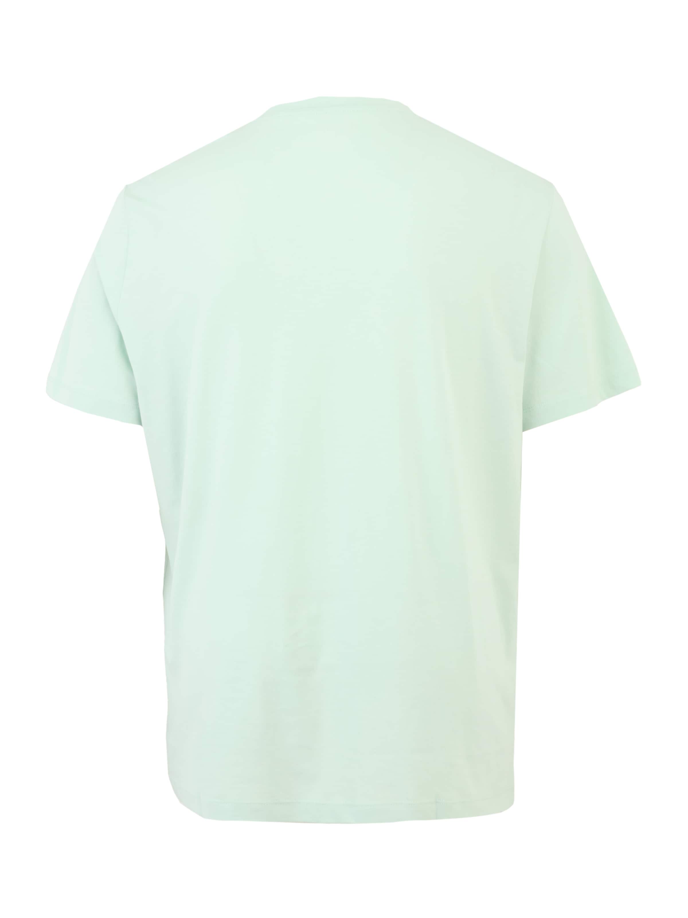 s.Oliver Men Big Sizes Shirt in Green