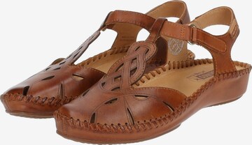 Sandales à lanières PIKOLINOS en marron