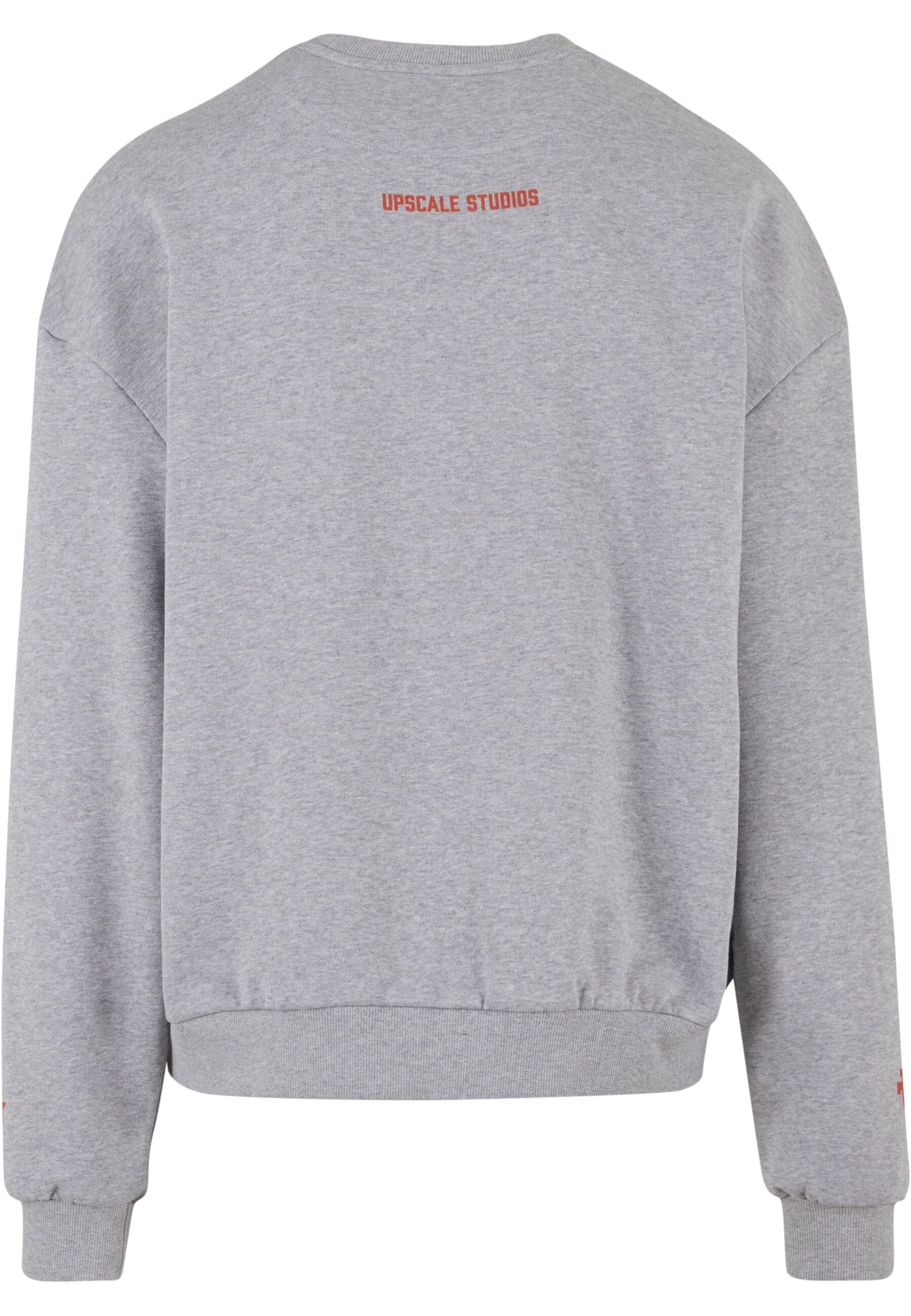MT Upscale Sweatshirt 'Texas Longhorns Austin' in Grau