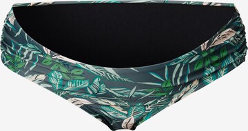 Pantaloncini per bikini 'Key Port' di Noppies in verde: frontale