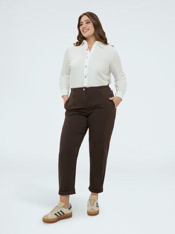 Fiorella Rubino Regular Hose‌‌‌‌‌ in Braun: Vorderseite