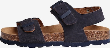 Toni Pons Lage schoen 'Elliot-QT' in Blauw: voorkant