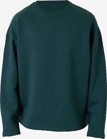 Sweat-shirt Dandalo en vert : devant