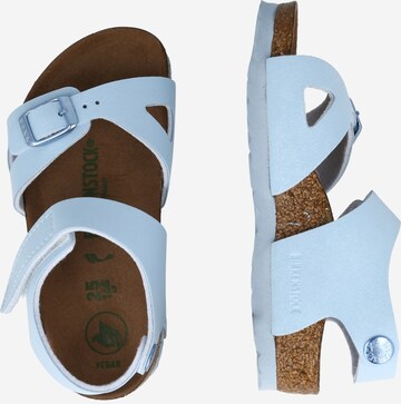 Sandale 'Colorado' de la BIRKENSTOCK pe albastru