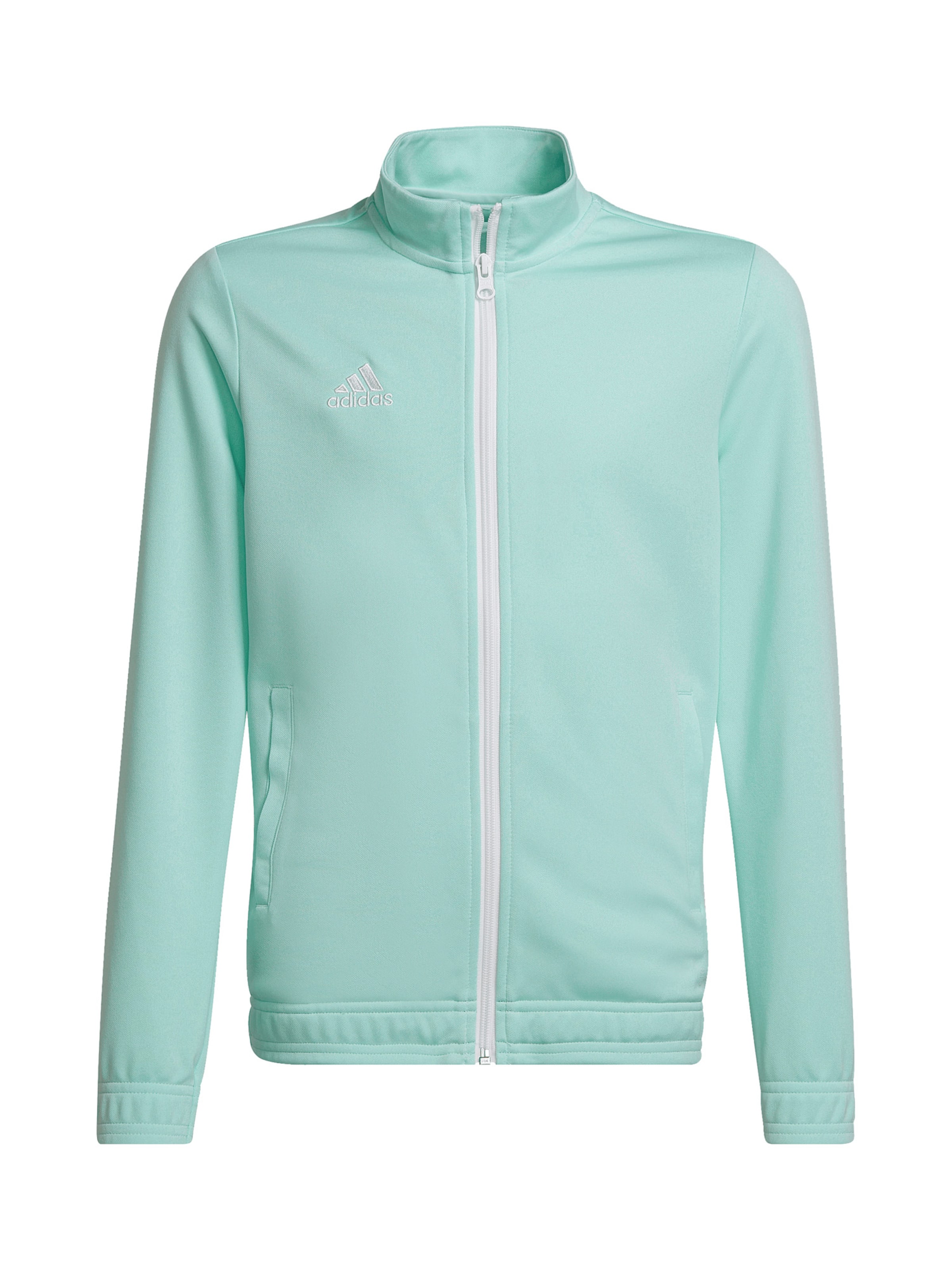 ADIDAS PERFORMANCE Sportjacke 'Entrada 22' in Grün: Vorderseite