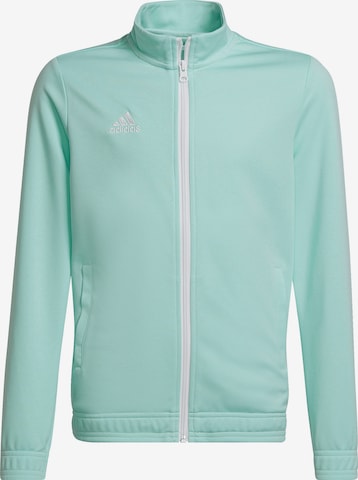 ADIDAS PERFORMANCE Спортивная куртка 'Entrada 22' в Зеленый: спереди