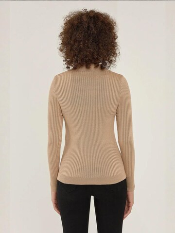 Hiccup - Pullover em castanho