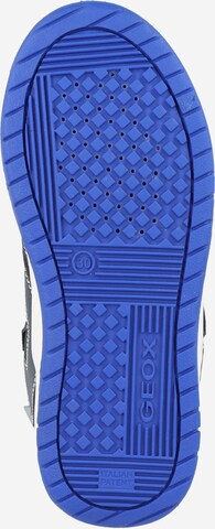 GEOX Sneaker in Blau