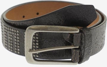 PUMA Belt in One size in Black: front