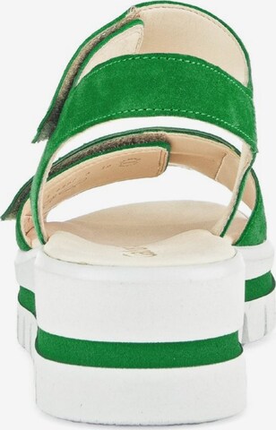 Sandalo di GABOR in verde