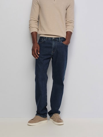 Salsa Jeans Regular Jeans Straight in Blau