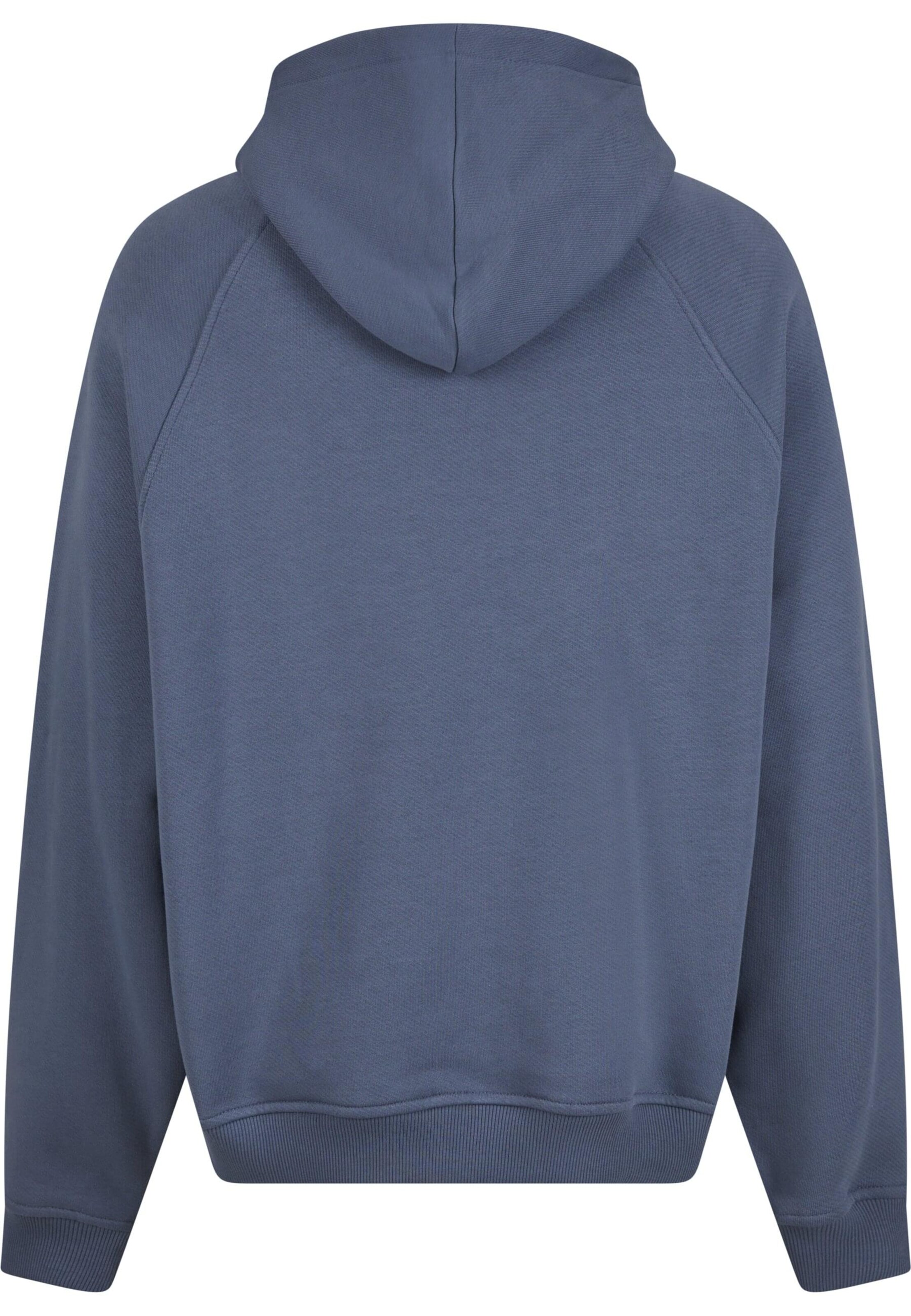 Pequs Sweatshirt in Blue